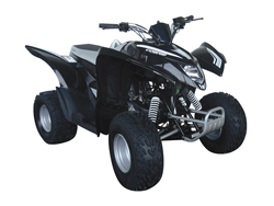 Cobra ATV Quad 100cc